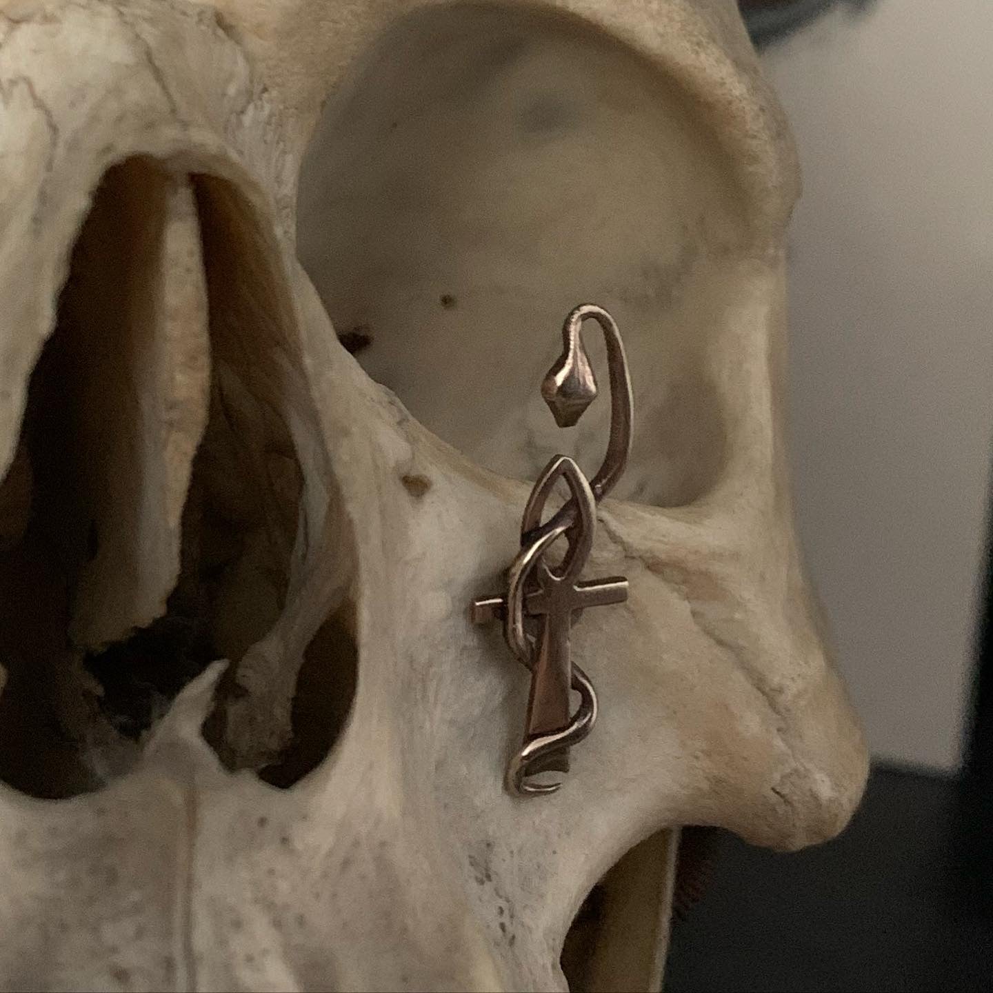 Caduceus